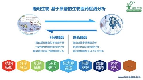 鹿明生物舒烈波 以質(zhì)譜檢測(cè)技術(shù)服務(wù)科學(xué)家與藥企的“店小二”精神